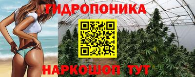прущие крисы Кунгур