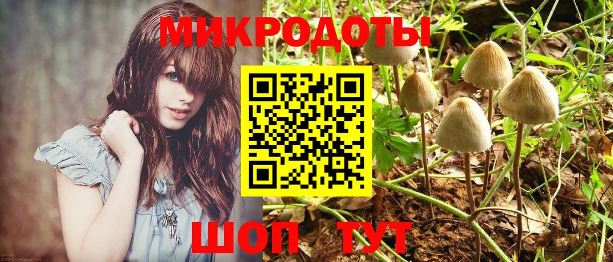 Псилоцибиновые грибы Magic Shrooms  Псилоцибиновые грибы Magic Shrooms  Вход с VPN  Татарск 