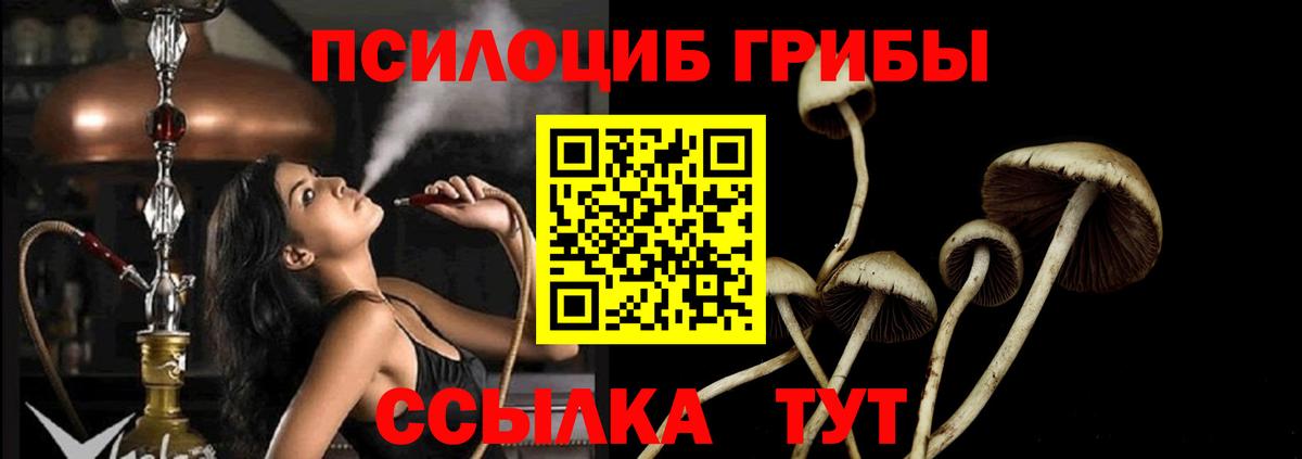 Псилоцибиновые грибы ЛСД Татарск